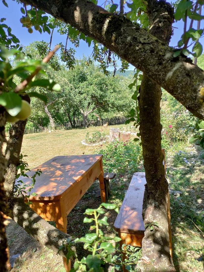 Village House Mestia Extérieur photo